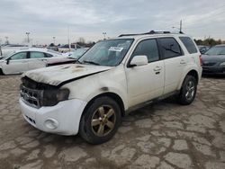 Salvage cars for sale at Indianapolis, IN auction: 2010 Ford Escape Limited