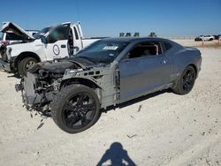 Salvage cars for sale at Temple, TX auction: 2024 Chevrolet Camaro LS