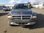 2004 Dodge Dakota Quad Sport