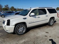 Cadillac Vehiculos salvage en venta: 2011 Cadillac Escalade ESV Premium