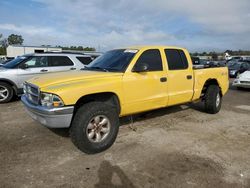 2003 Dodge Dakota Quad SLT en venta en Harleyville, SC