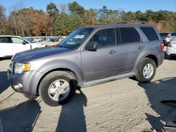 Ford salvage cars for sale: 2008 Ford Escape XLT