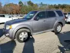 2008 Ford Escape XLT