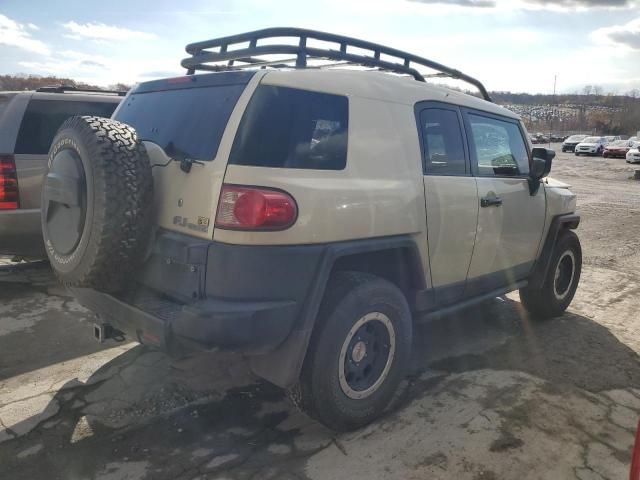 2010 Toyota FJ Cruiser