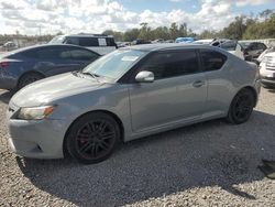 Scion Vehiculos salvage en venta: 2013 Scion TC