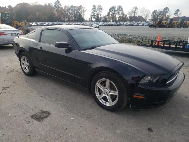 2013 Ford Mustang