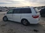 2005 Honda Odyssey EXL