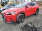 2024 Lexus NX 450H Luxury