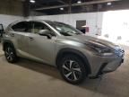 2020 Lexus NX 300H