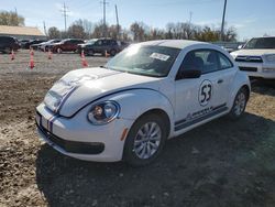 Salvage cars for sale at Columbus, OH auction: 2013 Volkswagen Beetle