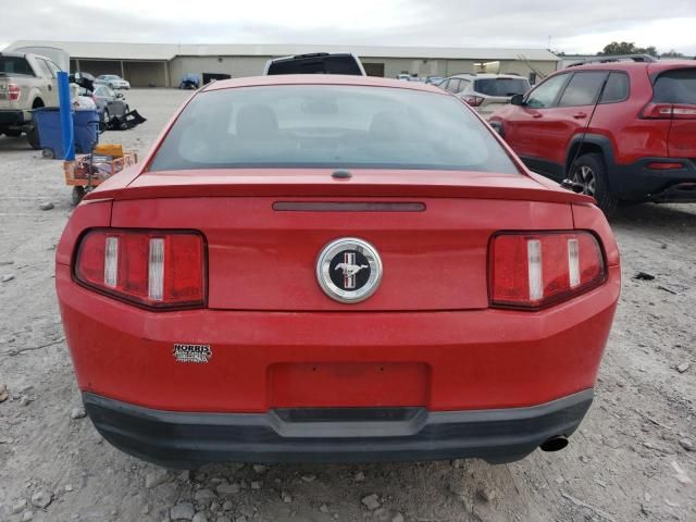 2010 Ford Mustang