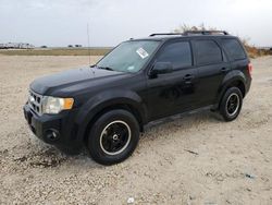 Ford Escape salvage cars for sale: 2011 Ford Escape XLT