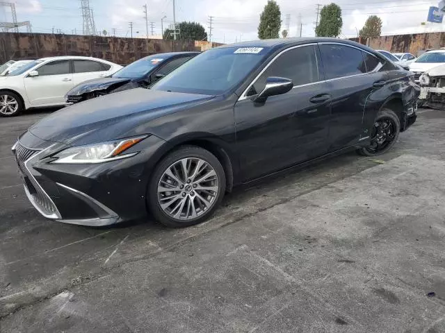 2019 Lexus ES 300H