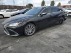 2019 Lexus ES 300H