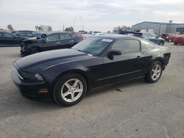 2013 Ford Mustang