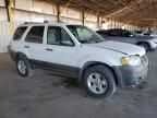 2007 Ford Escape XLT