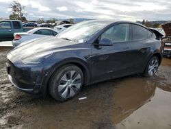 Salvage cars for sale at San Martin, CA auction: 2024 Tesla Model Y