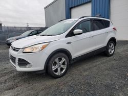 Ford salvage cars for sale: 2014 Ford Escape SE