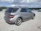 2011 Mercedes-Benz ML 350