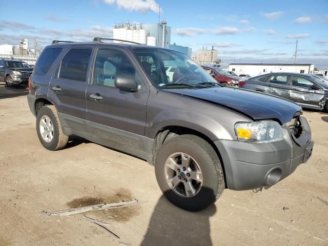 2006 Ford Escape XLT