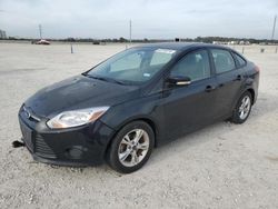 Salvage cars for sale at New Braunfels, TX auction: 2014 Ford Focus SE