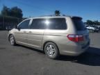 2007 Honda Odyssey EX