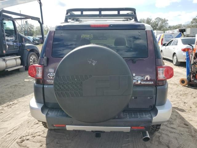 2007 Toyota FJ Cruiser