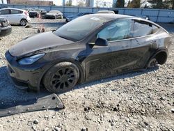 Salvage cars for sale at Windsor, NJ auction: 2021 Tesla Model Y