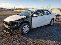 Carros salvage sin ofertas aún a la venta en subasta: 2014 Toyota Corolla L