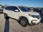 2019 Honda Pilot EXL