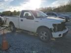 2010 Ford F150