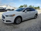 2013 Ford Fusion SE Hybrid