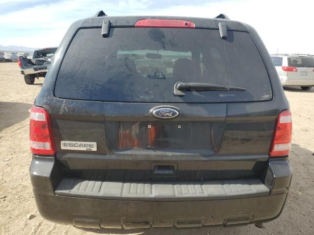 2010 Ford Escape XLT