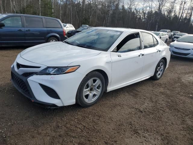 2019 Toyota Camry Hybrid