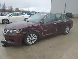 2013 Honda Accord EX en venta en Lawrenceburg, KY