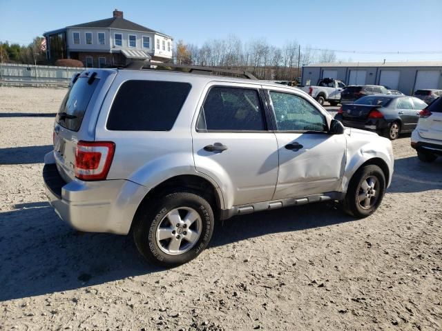 2010 Ford Escape XLT