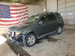 2012 Ford Escape XLT en venta en Columbia, MO