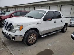 Vehiculos salvage en venta de Copart Louisville, KY: 2010 Ford F150 Supercrew