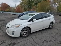 Salvage cars for sale at Portland, OR auction: 2010 Toyota Prius