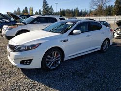 Salvage cars for sale at Graham, WA auction: 2015 KIA Optima SX