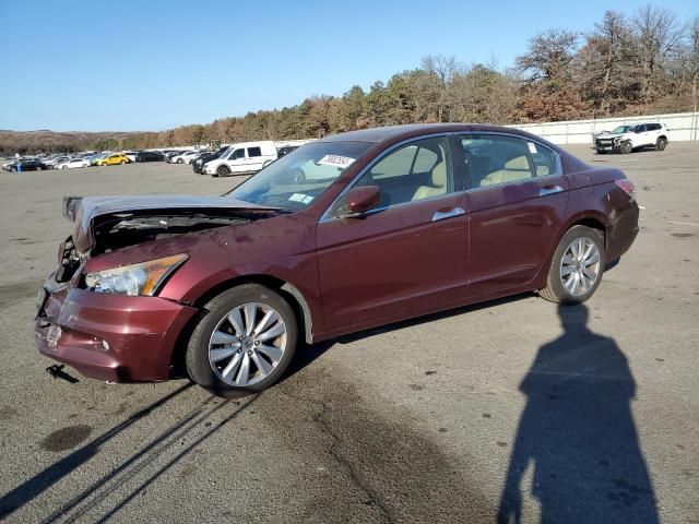 2011 Honda Accord EXL