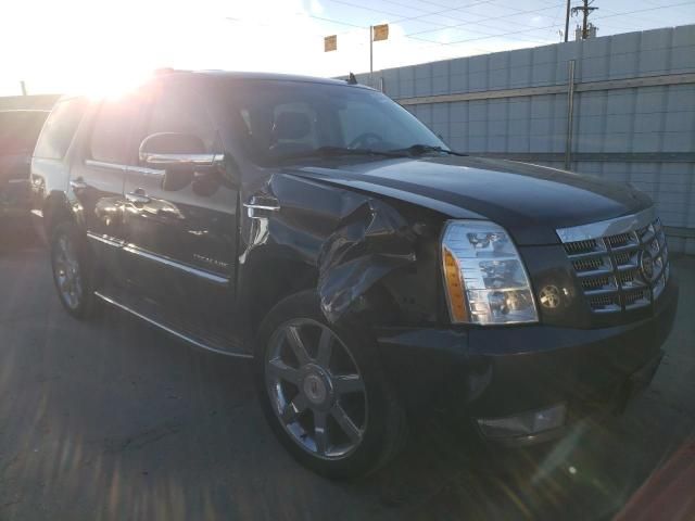 2010 Cadillac Escalade Luxury