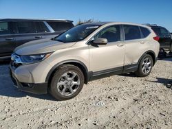 Salvage cars for sale at Taylor, TX auction: 2018 Honda CR-V EXL