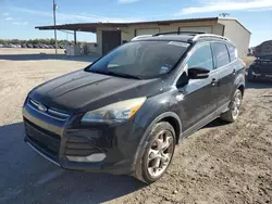 Ford Escape Vehiculos salvage en venta: 2013 Ford Escape Titanium