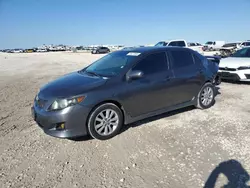 Toyota Vehiculos salvage en venta: 2010 Toyota Corolla Base