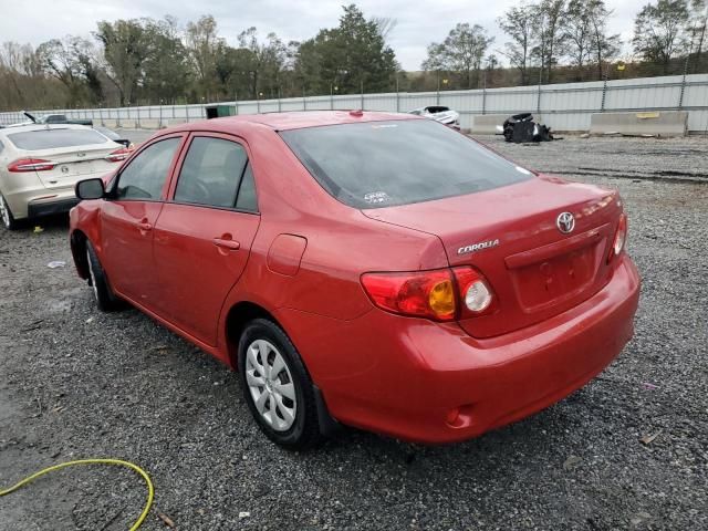 2010 Toyota Corolla Base