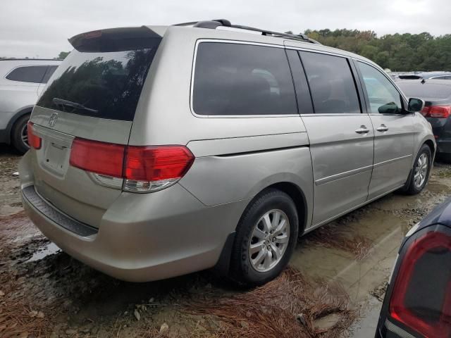 2008 Honda Odyssey EXL