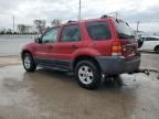 2005 Ford Escape XLT