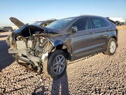 Salvage cars for sale at Phoenix, AZ auction: 2024 Ford Edge SEL