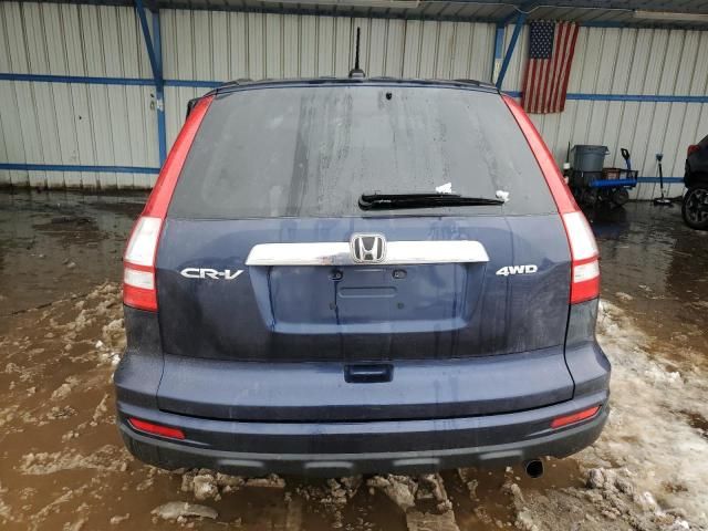 2010 Honda CR-V EXL